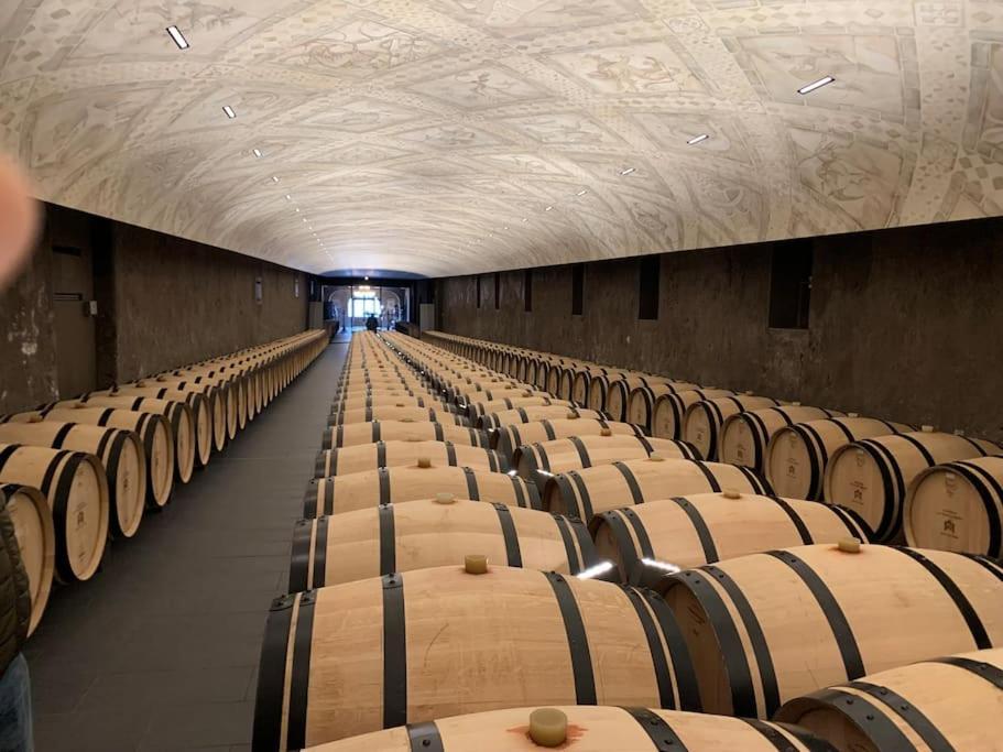 Studio Confortable Aux Portes De Bordeaux Et Medoc Ludon-Medoc Екстер'єр фото